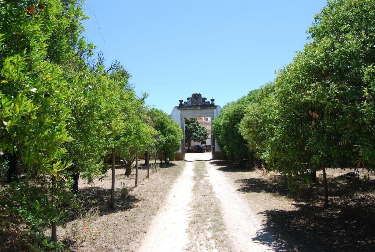Quinta Do Casalinho - Benfica Do Ribatejo Benfica (Ribatejo) Exterior foto