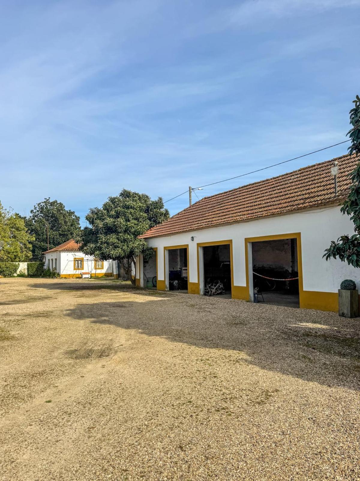 Quinta Do Casalinho - Benfica Do Ribatejo Benfica (Ribatejo) Exterior foto