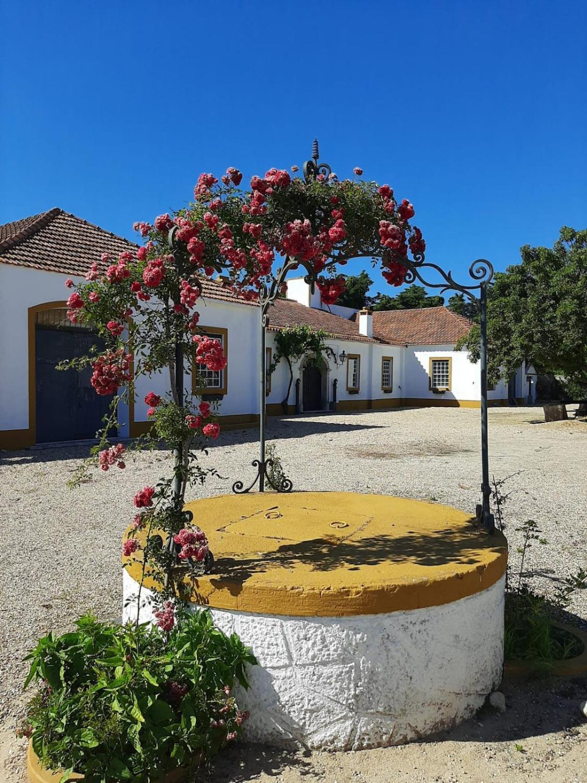 Quinta Do Casalinho - Benfica Do Ribatejo Benfica (Ribatejo) Exterior foto